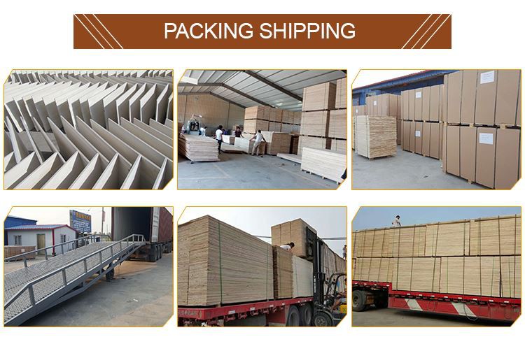 shipment shipment